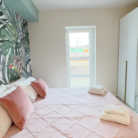 Seafront Modern Farmont Flamingo